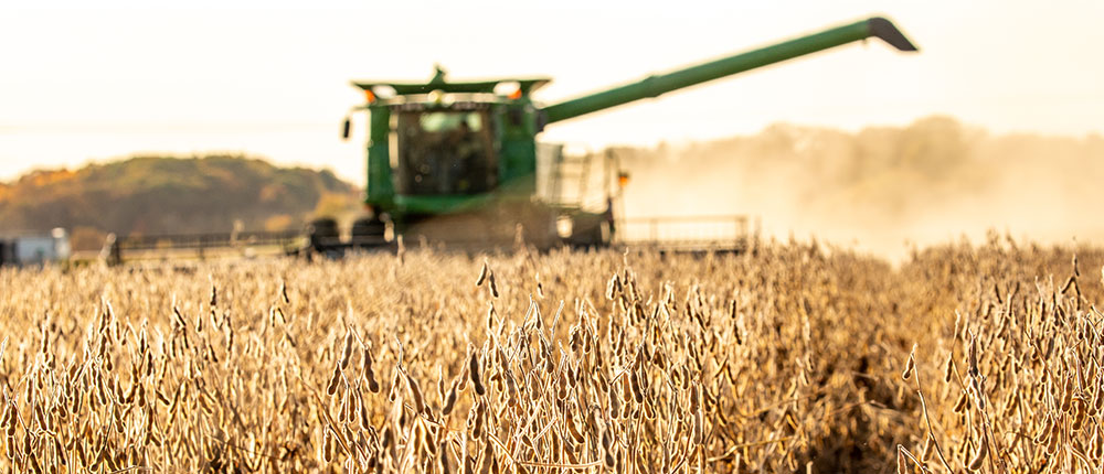 machinery harvesting soybeans