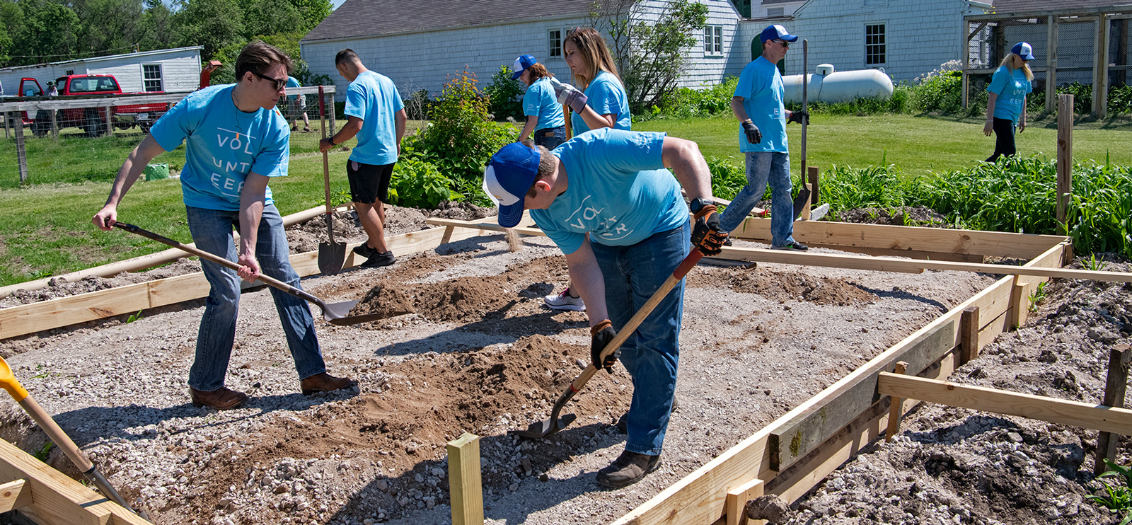 Group of people wearing light blue volunteer shirts working together digging plots in a community garden
