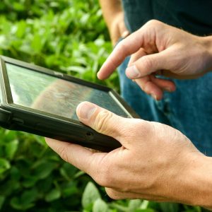 Hands holding a tablet