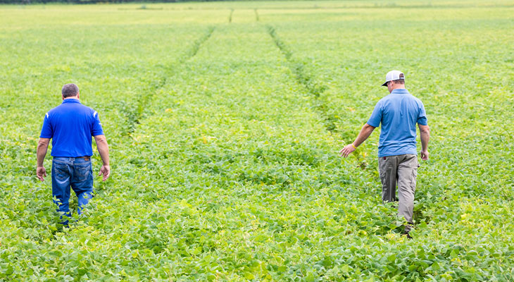 A farmer and agronomist walking in a field. 