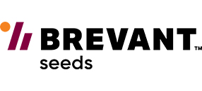 Brevant logo