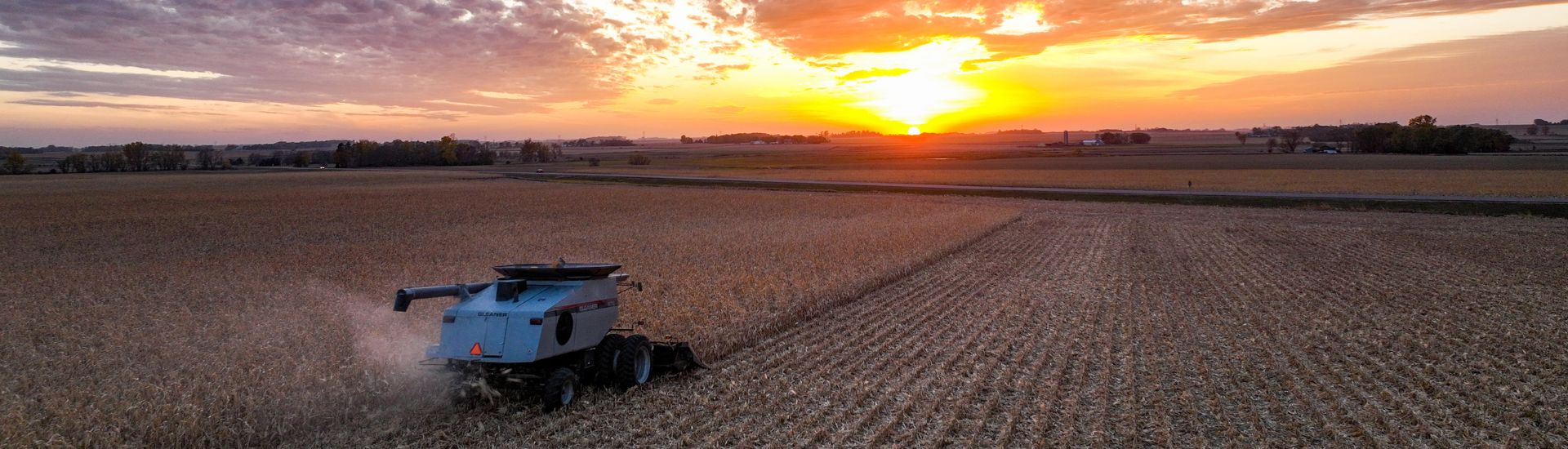 A combine in a field harvesting at sunset.