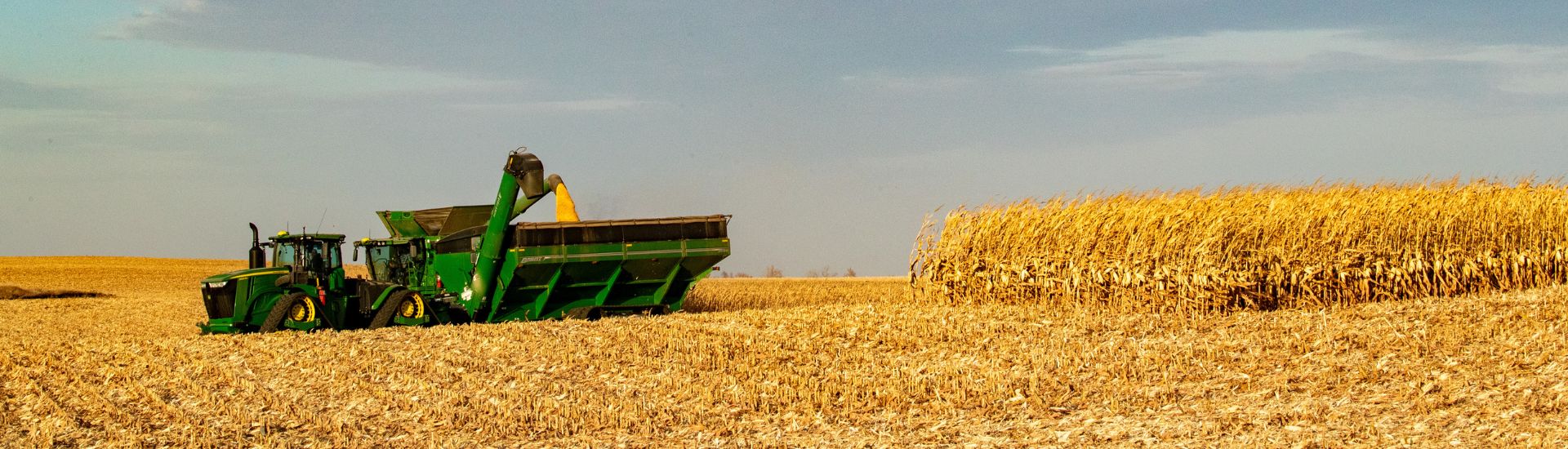 Combine in a field during corn harvest.