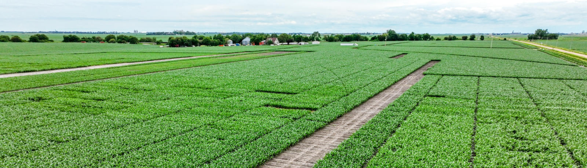 Aerial image of a field